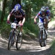 Volvo partnerem Powerade Volvo MTB Marathon