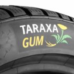 Continental z nagrodą za projekt badawczy „Taraxagum”