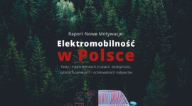 Salony i serwisy bez „energii” do sprzedaży samochodów elektrycznych BIZNES, Motoryzacja - Stan rozwoju elektromobilności w Polsce AD 2019